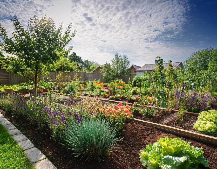 A beautiful home vegetable garden with flowers, vegetables and trees